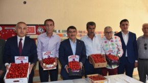 Şehzadeler Belediyesi, kiraz diyarı Sancaklıbozköyde 27. Kiraz Festivali düzenledi