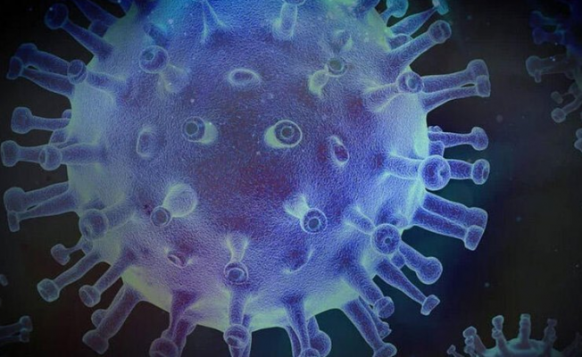 13 Haziran koronavirüs tablosu belli oldu