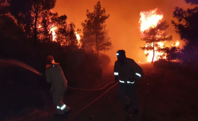 Marmaris yangını! Koruma alanı ilan edilen bölgenin yüzde 20'si yandı