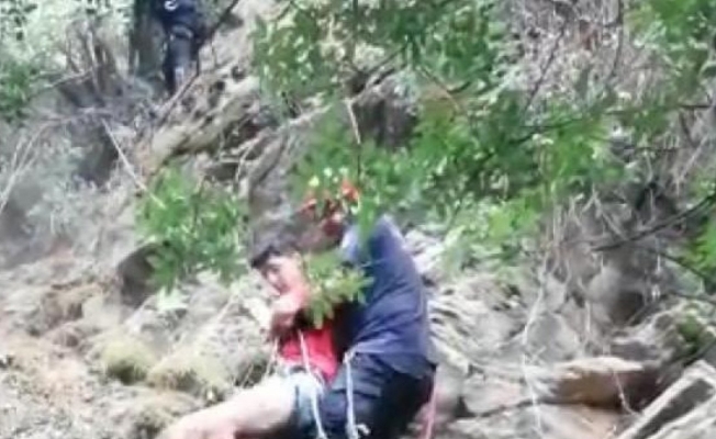 Kayalıklardan düşerken tutunduğu ağaç hayatını kurtardı