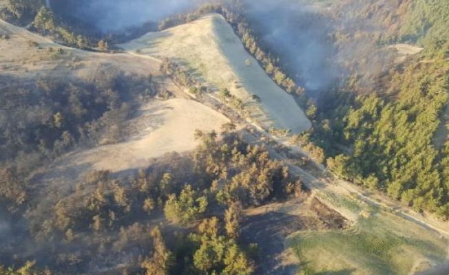 Manisa'da 85 hektar orman, 100 hektar tarım arazisinin zarar gördüğü yangına 2 gözaltı
