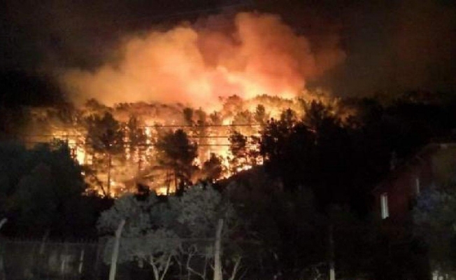 Muğla’da orman yangını