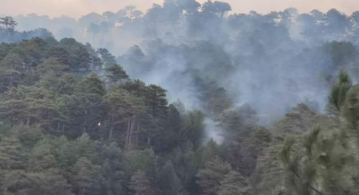 Denizli'de orman yangını kısmen kontrol altına alındı