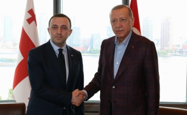 Erdoğan, Garibaşvili'yi Türkevi'nde kabul etti