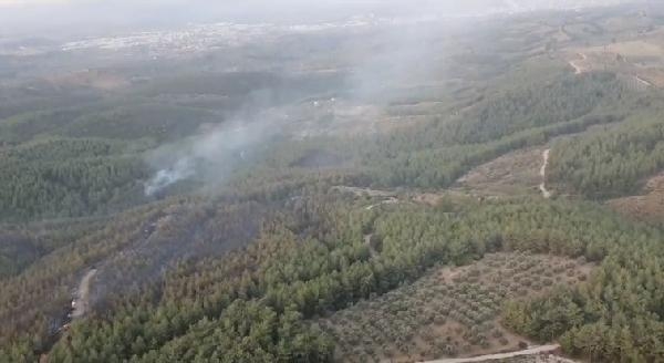 İzmir'deki orman yangınını söndürme çalışmaları sürüyor