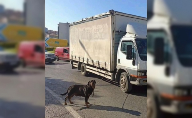 Köpeği kamyonete bağlayan sürücüye ceza