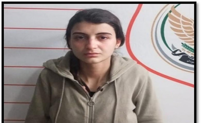 Türkiye'ye sızmaya çalışan kadın terörist yakalandı
