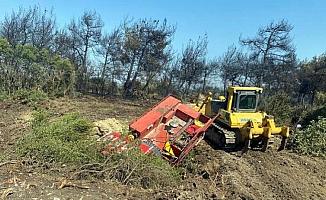 Alevler 1,5 hektar alanı yok etti
