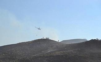 Salihli'de 105 dönüm orman yangında zarar gördü