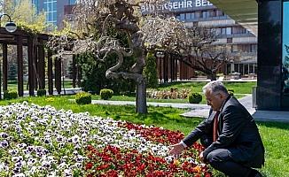 Kayseri Büyükşehir'den bahçe yarışması