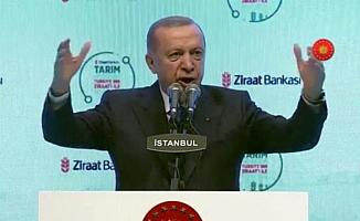 Cumhurbaşkan Erdoğan çiftçiler için 3 yeni destek paketi açıkladı