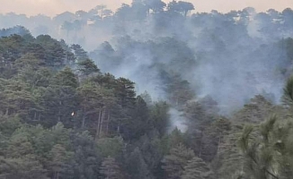 Denizli'de orman yangını kısmen kontrol altına alındı