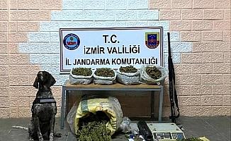İzmir'deki 'Kökünü Kurutma' operasyonunda 59 gözaltı