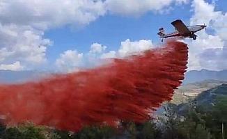 Adana'da iki mahallede orman yangını