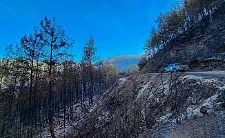 Alanya'da orman yangını kontrol altına alındı