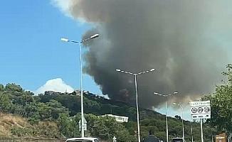 Maltepe'de orman yangını! Alevler evlere yaklaştı