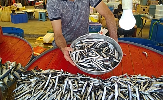 Manisa'da Balıkçıların Yüzü Güldü
