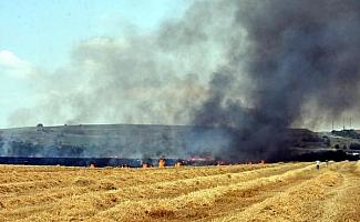 Yangınlarda 7 bin 248 dekar tarım alanı zarar gördü