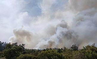 Kanarya Adaları’nda yangın: 3 bin sivil tahliye edildi