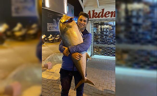 Amatör balıkçı, olta ile 41 kiloluk akya yakaladı