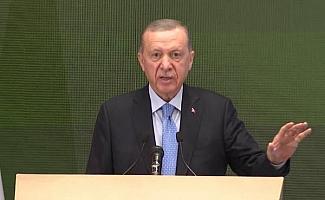Cumhurbaşkanı Erdoğan: Cezayir'le ticaret hacmimiz rekor seviye olan 5,3 milyar dolara yükseldi