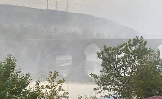 Diyarbakır'da sis etkili oldu