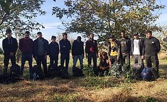 Edirne'de 1209 kaçak göçmen, 35 organizatör şüphelisi yakalandı