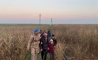 Şanlıurfa-Suriye sınırında göçmen kaçakçılığına 15 tutuklama