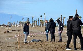 Antalya'da neler oluyor? 6 günde 8 ceset bulundu 