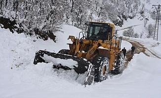 Bitlis'te kardan kapanan 240 köy yolu ulaşıma açıldı