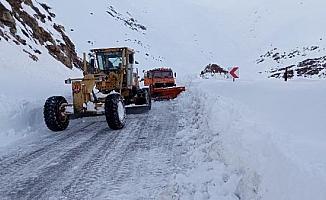 Kar ve çığın kapattığı Hakkari-Şırnak kara yolu, ulaşıma açıldı