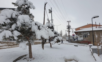 Van'da kar yağışı;  Başkale'de okullar tatil edildi