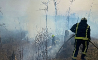 Ukrayna’da orman yangını: 5 kilometrelik alana yayıldı