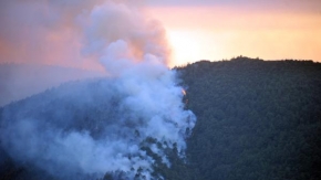 VİDEO HABER- Çanakkale'deki orman yangınına müdahale sürüyor